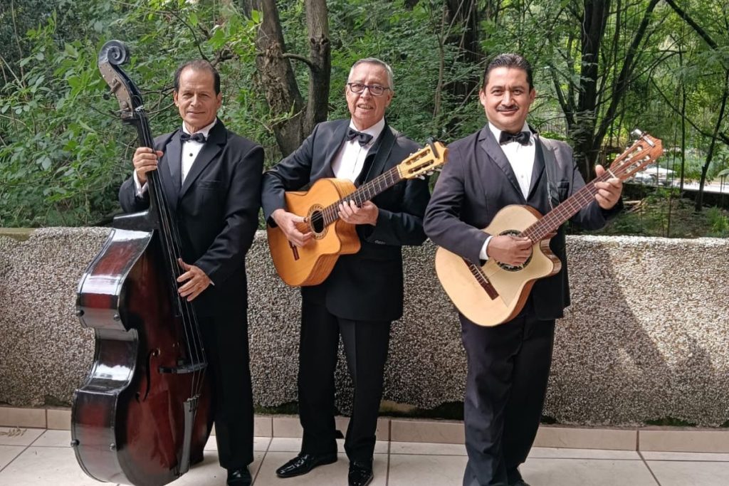 trio tradicional en guadalajara con experiencia